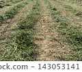 Idle land, abandoned farmland, grass cutting 03 143053141