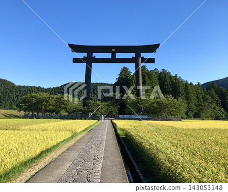 金色的稻田和大湯原的大鳥居:熊野本宮大社(和歌山縣) 金色的稻田和大湯原的大鳥居:熊野本宮大社(和歌山縣) 143053148