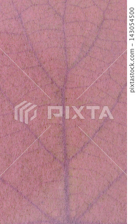 A collaboration of Japanese paper and winter strawberries and autumn leaves [Background material] 143054500