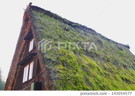 Gassho-style houses with thatched roofs covered in moss - Gero Onsen Gassho Village Gassho-style houses with thatched roofs covered in moss - Gero Onsen Gassho Village 143054577