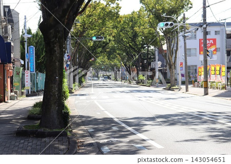 堺市堺區北見國丘町櫸樹街 堺市堺區北見國丘町櫸樹街 143054651