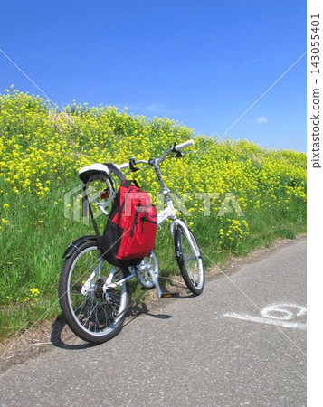 江戶川河堤岸上,春季油菜花盛開,還有騎腳踏車的人。 江戶川河堤岸上,春季油菜花盛開,還有騎腳踏車的人。 143055401