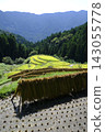 Rice terrace of Kashihara Rice terrace of Kashihara 143055778
