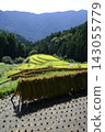 Rice terrace of Kashihara Rice terrace of Kashihara 143055779