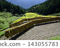 Rice terrace of Kashihara Rice terrace of Kashihara 143055783