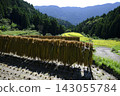 Rice terrace of Kashihara Rice terrace of Kashihara 143055784