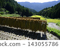 Rice terrace of Kashihara Rice terrace of Kashihara 143055786