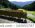 Rice terrace of Kashihara Rice terrace of Kashihara 143055787