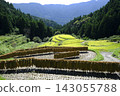 Rice terrace of Kashihara Rice terrace of Kashihara 143055788