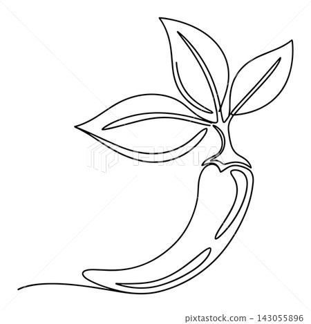 Minimalist continuous line drawing of a chili pepper with leaves on white background 143055896