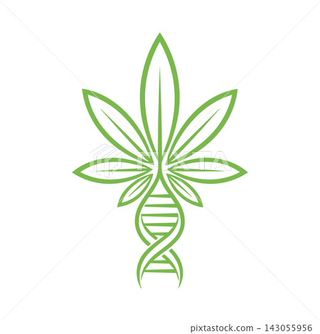 Green cannabis leaf icon combined with a DNA helix structure on a white background Green cannabis leaf icon combined with a DNA helix structure on a white background 143055956