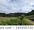 A tranquil landscape: "Japan's quintessential scenery and high-voltage power transmission towers" 143056730