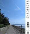A coastline with windbreaks and tidal flats, under a beautiful blue sky on a clear summer day (vertical format) 143056738