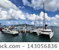 Wide marina crowded with moored sailboats and catamarans beneath partly cloudy blue sky 143056836