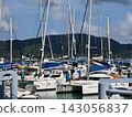 Wide marina crowded with moored sailboats and catamarans beneath partly cloudy blue sky 143056837