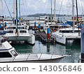 Wide marina crowded with moored sailboats and catamarans beneath partly cloudy blue sky 143056846