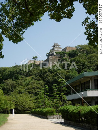 九月,香川縣,丸龜城的石牆和天守閣 九月,香川縣,丸龜城的石牆和天守閣 143057217