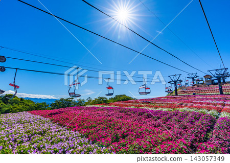茶鬚山高原太陽花祭：愛知縣最高峰纜車與花田 [愛知縣] 143057349