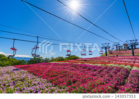 Chausuyama Plateau Sunpatiens Festival: Lift ride and flower fields at the highest peak in Aichi Prefecture [Aichi Prefecture] 143057353