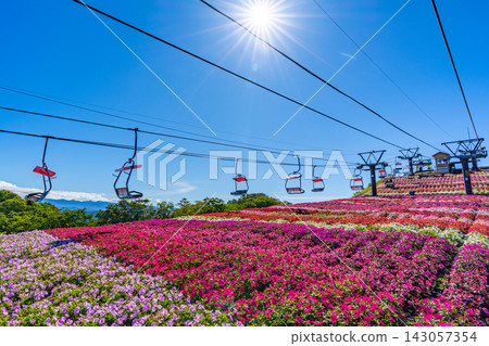 茶鬚山高原太陽花祭：愛知縣最高峰纜車與花田 [愛知縣] 143057354