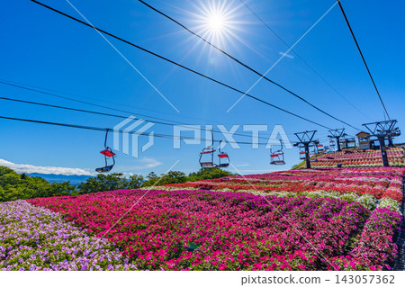 Chausuyama Plateau Sunpatiens Festival: Lift ride and flower fields at the highest peak in Aichi Prefecture [Aichi Prefecture] 143057362