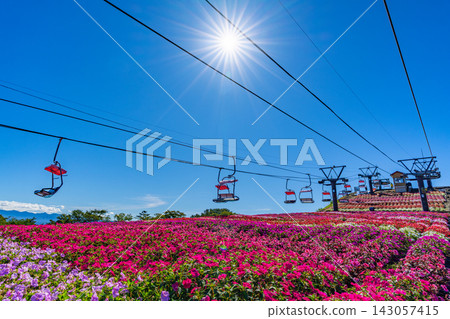 茶鬚山高原太陽花祭：愛知縣最高峰纜車與花田 [愛知縣] 143057415