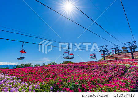 茶鬚山高原太陽花祭：愛知縣最高峰纜車與花田 [愛知縣] 143057418