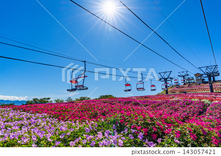 Chausuyama Plateau Sunpatiens Festival: Lift ride and flower fields at the highest peak in Aichi Prefecture [Aichi Prefecture] 143057421