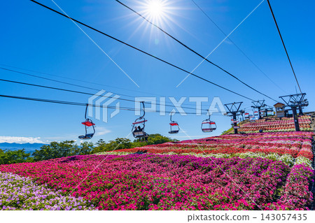茶鬚山高原太陽花祭：愛知縣最高峰纜車與花田 [愛知縣] 143057435