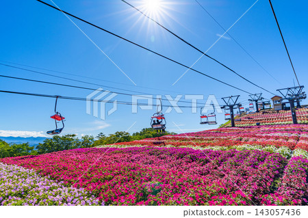茶鬚山高原太陽花祭：愛知縣最高峰纜車與花田 [愛知縣] 143057436