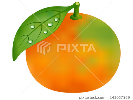 "Early-ripening mandarin oranges" 143057569