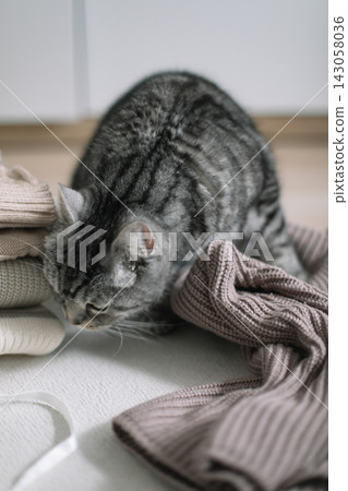 cat and soft woolen sweaters. Winter or autumn weekend concept, top view. Cute tabby cat and cozy plaid. Hygge concept. Lazy weekend cat and soft woolen sweaters. Winter or autumn weekend concept, top view. Cute tabby cat and cozy plaid. Hygge concept. Lazy weekend 143058036