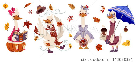 Cute cartoon goose, autumn geese vector art Cute cartoon goose, autumn geese vector art 143058354