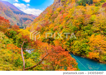 這是十月下旬清晨在秋山鄉安納托水壩附近拍攝的風景照,照片中可以看到碧藍的中津川河水和山坡上色彩繽紛的秋葉。 這是十月下旬清晨在秋山鄉安納托水壩附近拍攝的風景照,照片中可以看到碧藍的中津川河水和山坡上色彩繽紛的秋葉。 143058497
