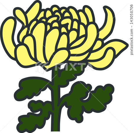 黃色菊花花插畫 143058706