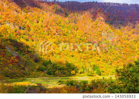 An early autumn scene captured with a medium telephoto lens from the Akiyama-go Viewpoint 2 on the Higashi-Akiyama Forest Road, showing the stone-walled rice fields of Ketto and the beautiful autumn foliage. An early autumn scene captured with a medium telephoto lens from the Akiyama-go Viewpoint 2 on the Higashi-Akiyama Forest Road, showing the stone-walled rice fields of Ketto and the beautiful autumn foliage. 143058933