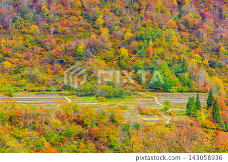 An early autumn scene captured with a medium telephoto lens from the Akiyama-go viewpoint 1 on the Higashi-Akiyama Forest Road, showing the stone-walled rice fields of Ketto and beautiful red smoke. An early autumn scene captured with a medium telephoto lens from the Akiyama-go viewpoint 1 on the Higashi-Akiyama Forest Road, showing the stone-walled rice fields of Ketto and beautiful red smoke. 143058936