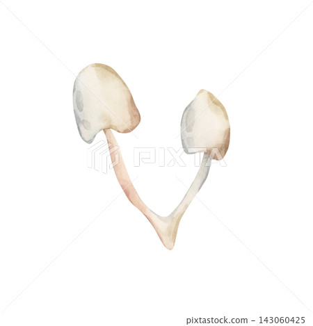 Cute Toadstool. Autumn forest poisonous mushrooms Watercolor hand drawn floral food illustration isolated on white background for cozy fall design home kitchen textile table cloth porcelain crockery Cute Toadstool. Autumn forest poisonous mushrooms Watercolor hand drawn floral food illustration isolated on white background for cozy fall design home kitchen textile table cloth porcelain crockery 143060425