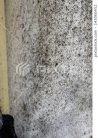 Close up of mold and dirt on old sofa fabric Close up of mold and dirt on old sofa fabric 143060452