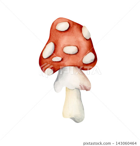 Cute Amanita Fly Agaric. Autumn forest poisonous mushroom Watercolor hand drawn floral illustration isolated on white background for fall design home kitchen textile table cloth porcelain crockery Cute Amanita Fly Agaric. Autumn forest poisonous mushroom Watercolor hand drawn floral illustration isolated on white background for fall design home kitchen textile table cloth porcelain crockery 143060464