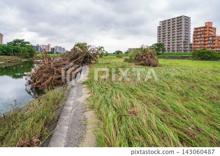 矢田川河留下了短期內破紀錄強降雨的痕跡(愛知縣名古屋市) 矢田川河留下了短期內破紀錄強降雨的痕跡(愛知縣名古屋市) 143060487
