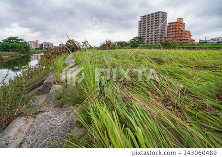 矢田川河留下了短期內破紀錄強降雨的痕跡(愛知縣名古屋市) 矢田川河留下了短期內破紀錄強降雨的痕跡(愛知縣名古屋市) 143060489