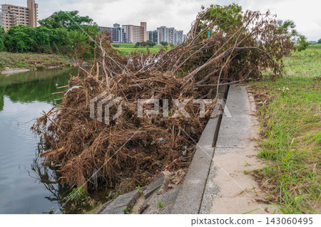 矢田川河留下了短期內破紀錄強降雨的痕跡(愛知縣名古屋市) 矢田川河留下了短期內破紀錄強降雨的痕跡(愛知縣名古屋市) 143060495