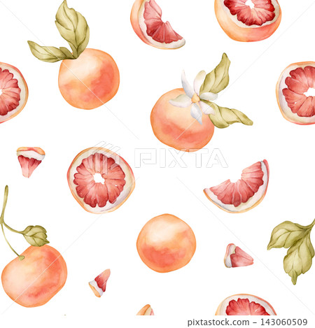 Grapefruit citrus fruit seamless pattern. Watercolor hand drawn floral food illustration isolated on white background for summer design home kitchen textile cute print cosmetic package crockery fabric Grapefruit citrus fruit seamless pattern. Watercolor hand drawn floral food illustration isolated on white background for summer design home kitchen textile cute print cosmetic package crockery fabric 143060509
