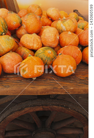 Assorted pumpkins arranged on a rustic wooden cart, highlighting autumn produce and the abundance of the fall harvest. Assorted pumpkins arranged on a rustic wooden cart, highlighting autumn produce and the abundance of the fall harvest. 143060599