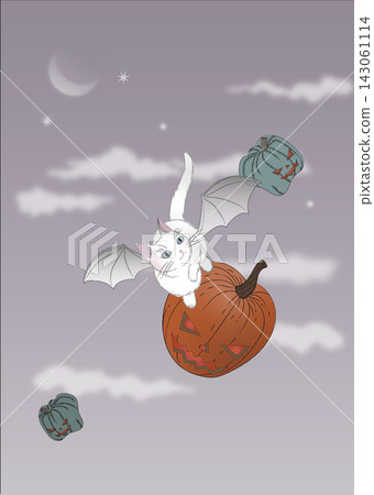 A cat flying through the sky on a pumpkin lantern A cat flying through the sky on a pumpkin lantern 143061114