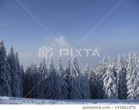 Snowy landscape at Hornle Mountain, alpine foothills in Bavaria, Germany Snowy landscape at Hornle Mountain, alpine foothills in Bavaria, Germany 143061876