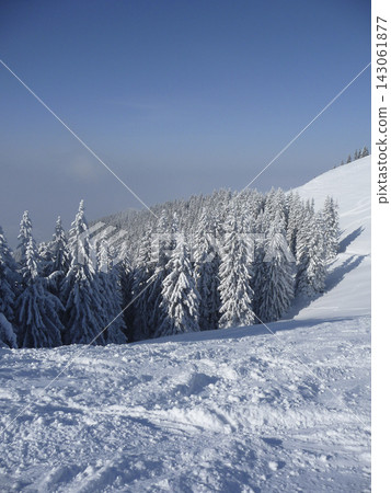 Snowy landscape at Hornle Mountain, alpine foothills in Bavaria, Germany Snowy landscape at Hornle Mountain, alpine foothills in Bavaria, Germany 143061877