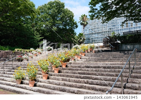 廣島市植物園階梯上的花 143061945