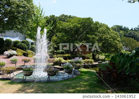 植物園景色及噴泉 143061952